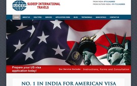 american visa expert website